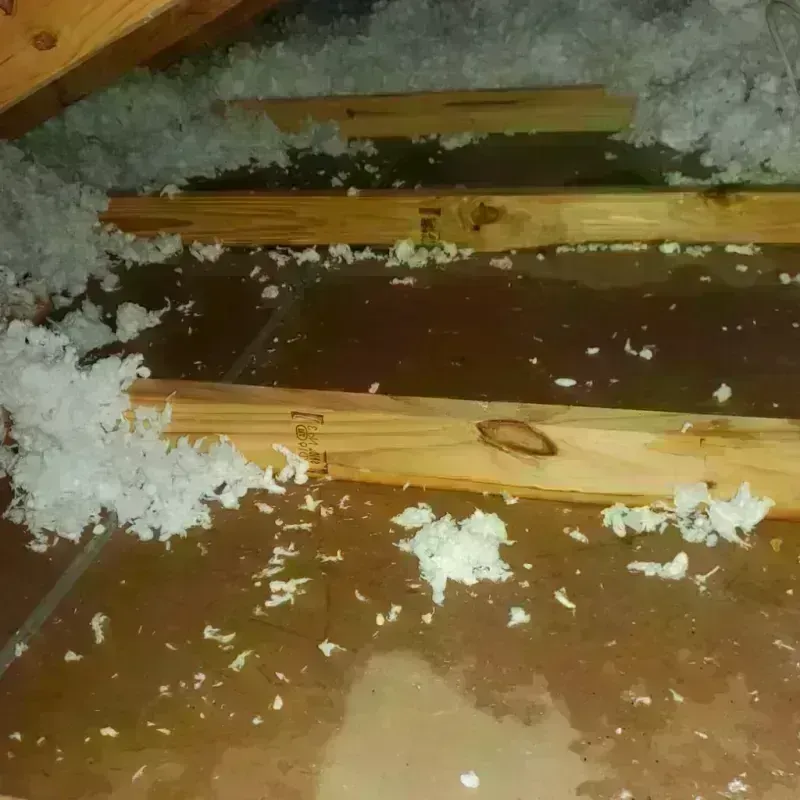 Attic Water Damage in Howard Lake, MN